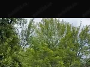 Vand teren extravilan comuna Barbatesti, Valcea, zona PARC NATIONAL!!! — miniatura 5
