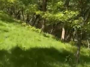 Vand teren extravilan comuna Barbatesti, Valcea, zona PARC NATIONAL!!! — miniatura 6