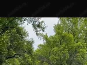 Vand teren extravilan comuna Barbatesti, Valcea, zona PARC NATIONAL!!! — miniatura 8