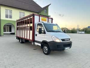 Iveco daily , transport animale vii , mercedes sprinter
