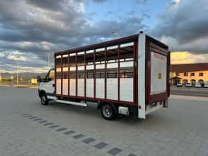Iveco daily , transport animale vii , mercedes sprinter — miniatura 3