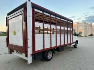 Iveco daily , transport animale vii , mercedes sprinter — miniatura 4