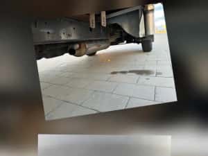 Iveco daily , transport animale vii , mercedes sprinter — miniatura 8