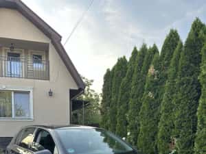 Volkswagen Golf 6/1.6 Mpi /220000 km — miniatura 8