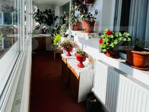 Apartament 3 camere, 56 mp, zona Semicentrala — miniatura 4