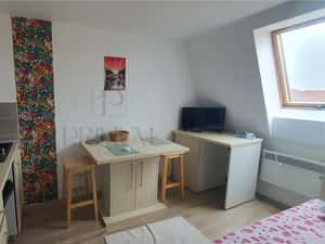 Garsoniera-Lipovei-Mobilata-Utilata — miniatura 5