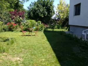 apartament 2 camere Snagov închiriere termen lung — miniatura 3