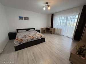 Chirie Garsoniera Mioveni, 42 mp, Robea, et1, mobilata — miniatura 1