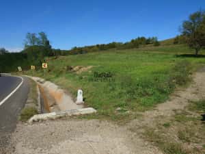 Teren intravilan 8757 mp cu acces direct la E79