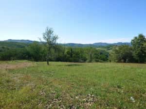 Teren intravilan 8757 mp cu acces direct la E79 — miniatura 3