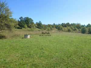 Teren intravilan 8757 mp cu acces direct la E79 — miniatura 4