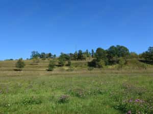 Teren intravilan 8757 mp cu acces direct la E79 — miniatura 5