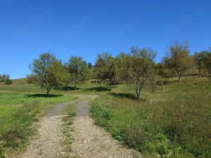 Teren intravilan 8757 mp cu acces direct la E79 — miniatura 6