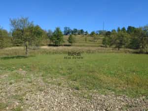 Teren intravilan 8757 mp cu acces direct la E79 — miniatura 7