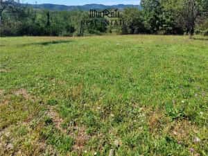 Teren intravilan 8757 mp cu acces direct la E79 — miniatura 8