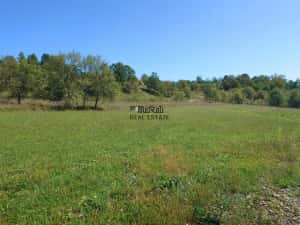 Teren intravilan 8757 mp cu acces direct la E79 — miniatura 9