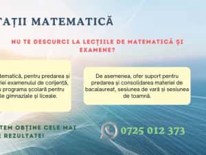 Meditatii matematica — miniatura 4