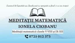 Meditatii matematica — miniatura 9