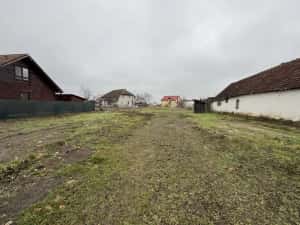 Teren Intravilan Becicherecu Mic 600 mp,Utilitatile In Fata Parcelei,Asflat — miniatura 4