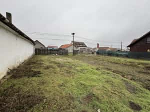 Teren Intravilan Becicherecu Mic 600 mp,Utilitatile In Fata Parcelei,Asflat — miniatura 5