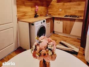 Garsoniera - Dristor - Renovata — miniatura 6