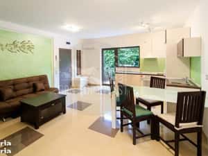 Apartament de lux  3 camere gradina si parcare zona Trei Stejari