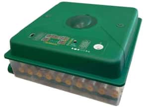 Incubator Clocitoare 70 Oua Gaina Rata Gasca Prepelite Pui Automat CJ — miniatura 3