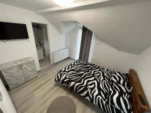 Cabana de inchiriat — miniatura 3