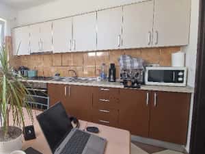 Apartament de vânzare in vilă, lângă supermarket Lidl, Moșnița Nouă -Buziașului. — miniatura 1