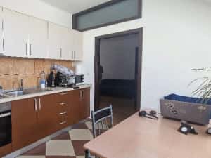 Apartament de vânzare in vilă, lângă supermarket Lidl, Moșnița Nouă -Buziașului. — miniatura 7