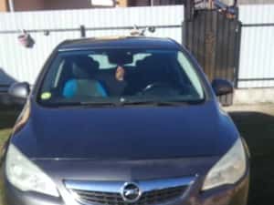 OPEL ASTRA J  1700 cm diesel — miniatura 9
