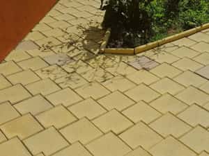 Producator pavele pavaje din beton - model 40x40 patinat montaj — miniatura 6