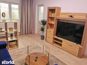 3 camere, Gorjului, Proprietar — miniatura 4