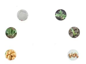 Incubator Clocitoare 128 Oua Gaina, Rata Gasca Curca Automat AR — miniatura 7