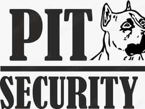 Angajam agenti de securitate-Pitbull Security Services SRL