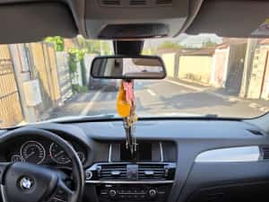 Bmw x3 Propietar — miniatura 10