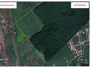 Teren 6000mp Mogosoaia, oportunitate investitie — miniatura 2
