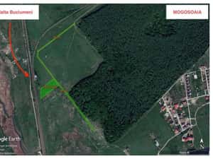Teren 6000mp Mogosoaia, oportunitate investitie — miniatura 10