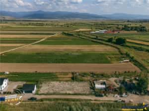 FILM! Teren intravilan, aliniament apreciabil,741mp,Targu Secuiesc — miniatura 4