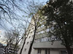 Apartament de 3 camere - Parcul Florilor - etaj 1 - Morarilor — miniatura 2