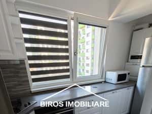 3 cam Decebal Residence - Lapus — miniatura 5