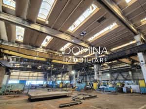 Închiriere complex industrial versatil *hale - birouri - platforme betonate* — miniatura 3