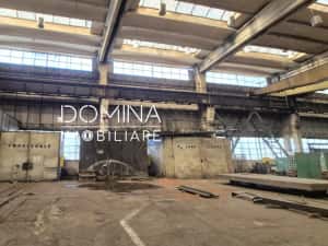 Închiriere complex industrial versatil *hale - birouri - platforme betonate* — miniatura 4