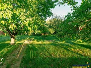 FILM! Casuta cu peste 800mp teren, areal estimabil, Lenin, Sfantu Gheorghe — miniatura 6