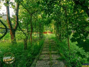 FILM! Casuta cu peste 800mp teren, areal estimabil, Lenin, Sfantu Gheorghe — miniatura 8