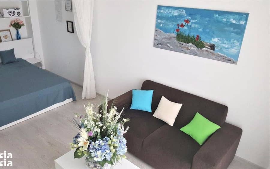 Garsoniera  CAROL City Parc, utiliitata si mobilata cu stil — fotografie 1 din 6
