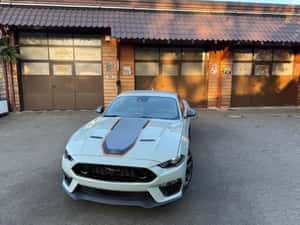 Ford Mustang Coupe 460cp - 25.900 km — miniatura 3