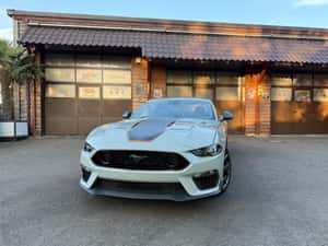 Ford Mustang Coupe 460cp - 25.900 km — miniatura 5