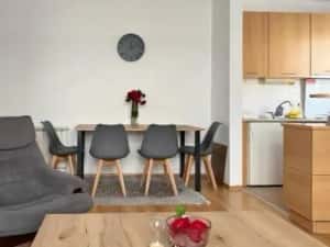 Apartament cu doua camere de inchiriat in zona Unirii — miniatura 3