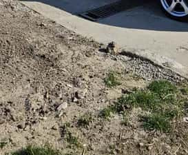 Vind urgent skoda octavia 2 din 2006cu akte în regula — miniatura 10
